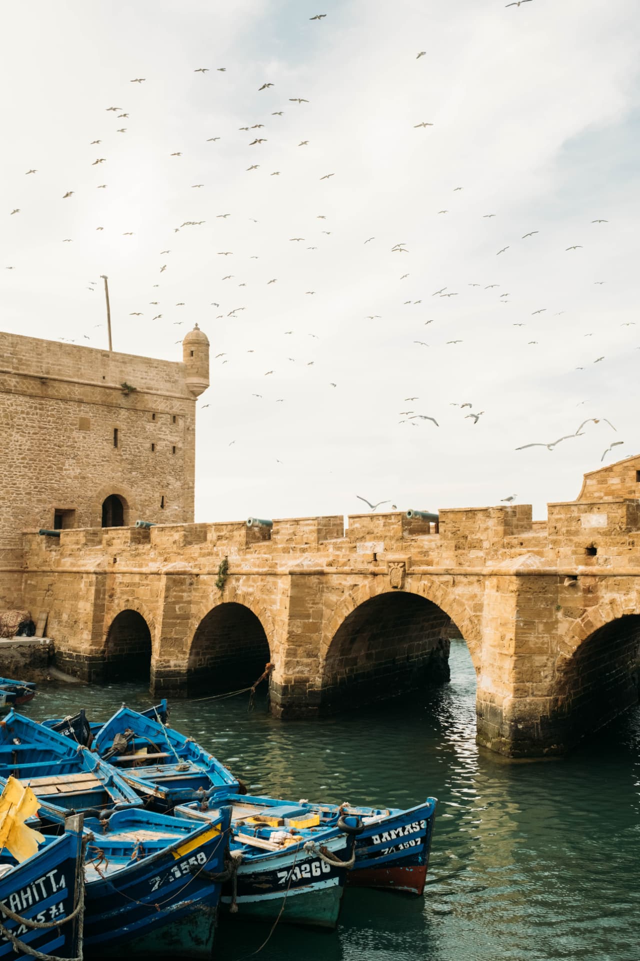 La Sqala du port et ses mouettes